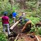 National Trails Day: Sidecutting