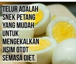 Selain itu, telur juga bermanfaat untuk kesehatan tubuh. Kebaikan Makan Telur Putih Kalori Berat Badan Ideal Facebook