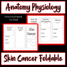 It affects people of all races, genders and ages, which is why it's absolutely critical for americans to learn about. Skin Cancer Types Treatment Diagnosis Cause Foldable With Pictures