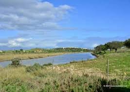 See castro marim and vila real de santo antónio. Birdwatching In Algarve By Bed And Breakfast Cas Al Cubo Tavira