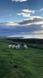 NC500🏴󠁧󠁢󠁳󠁣󠁴󠁿 @kaiheenan2004 @Benji @Elliot #nc500 #nc500roadtrip  #scotland #scotlandtiktok #scotlandtravel #travelinscotland  #scotlandnorthcoast #nc500roadtrip #nc500route #lochness #johnogroats ...