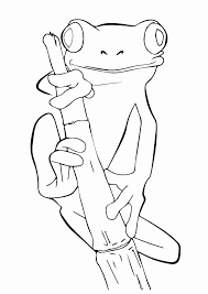 Tree Frog Coloring Page Fresh Free Printable Frog Coloring Pages Frog Coloring Frog Coloring Pages Tree Tattoo Color Coloring Pages