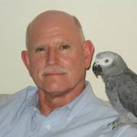 Mike McIntire Email & Phone Number