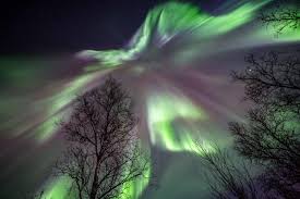 North Star Boutique Hotel At The Aurora Borealis Observatory Senja Norway See The Northern Lights Northern Lights Holidays Aurora Borealis Northern Lights