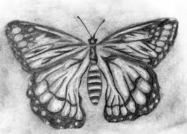 Check spelling or type a new query. Black And White Butterfly And Drawing Image 2353945 On Favim Com