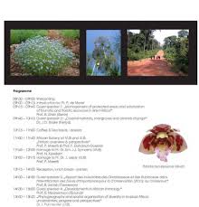 Image result for Leptactina platyphylla