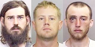 Mendocino County Today: Sunday, Feb 28, 2016