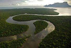 Pī néeng) adalah sebuah negara bagian di malaysia yang terdiri dari dua wilayah yaitu wilayah pulau pinang disebelah barat dengan luas 293km² dan wilayah timur yang terletak disebelah pantai barat. Carian Mengenai Topik Tanah Lembap Astro Awani