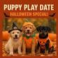 HALLOWEEN SPECIAL PUPPY PLAY DAT event image
