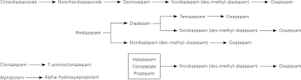 Image result for Halazepam