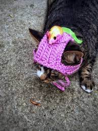 Halloween Costume Cat Hat Pet Hat With Mouse Crochet Unique Etsy Cat Halloween Costume Cat Dog Costume Pink Cat