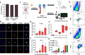 Biopsy, a procedure to remove a small portion of tissue for laboratory examination, is the only way to determine whether you have mesothelioma. A Liquid Biopsy For Detecting Circulating Mesothelial Precursor Cells A New Biomarker For Diagnosis And Prognosis In Mesothelioma Ebiomedicine
