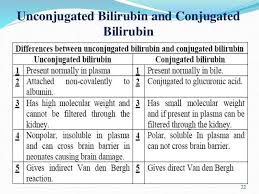 Difference Direct And Indirect Bilirubin Molecular Laboratory Science Medical