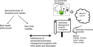 1595 old us highway 52, lexington, nc 27295 map & directions. A Review Of Semiochemicals Associated With Bark Beetle Coleoptera Curculionidae Scolytinae Pests Of Coniferous Trees A Focus On Beetle Interactions With Other Pests And Their Associates Sciencedirect