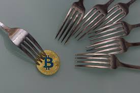How edible is your food? Craig Wright Releases Satoshi Vision Bitcoin Cash Client Launches Mining Pool