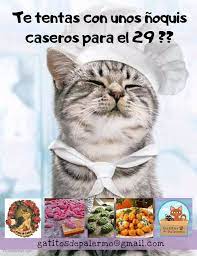 Ñoquis con salsa de queso que no pudieron. Facebook