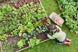The best form of pest control is to use nature's own checks and balances to keep pest numbers down. Natural Pest Control For Australian Garden Pests Lovetoknow