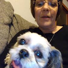 Car window repair service recommended