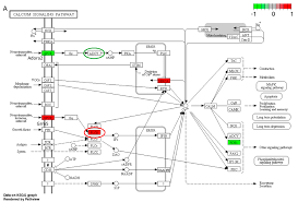 We did not find results for: A Transcriptome Study Of Borrelia Burgdorferi Infection In Murine Heart And Brain Tissues Journal Of Young Investigators