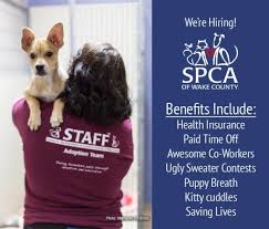 Wake county animal center in raleigh, nc has pets available for adoption. Employment Opportunities Spca Of Wake County
