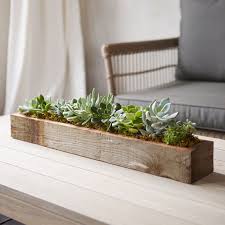 Living Succulent Centerpiece Trough Farmhouse Table Centerpieces Succulent Centerpieces Succulent Centerpiece Dining Room