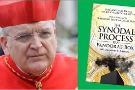 Kardinal Burke Memberikan Kejutan pada Sinode tentang 'Ideologi Bias' dan  'Potensi Perpecahan' Gereja Katolik