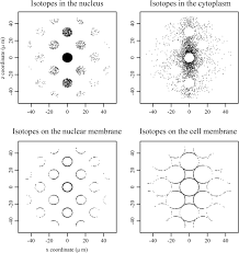 A short sentence describing what someone will receive by subscribing. Fluorescent Nuclear Track Detectors For Alpha Radiation Microdosimetry Radiation Oncology Full Text