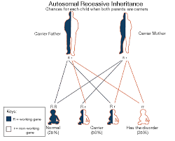 Image result for MCAD Deficiency