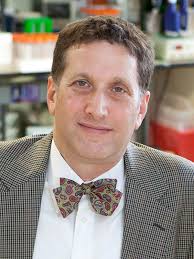 Einstein-Developed Treatment Strategy May Lead To Cure for HIV and Other  Chronic Viral Infections