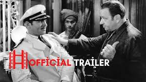 Image result for Disa walleri