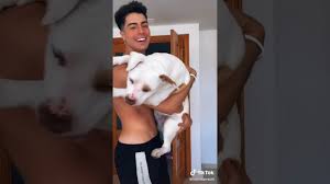 On our website 41 people answered questions about their pet called taison. Tik Tok De Naim Y Tyson Juntos Youtube
