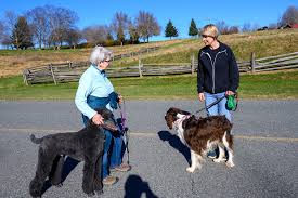 Profile for Capital Dog Training Club of Washington, DC