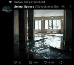 Jimmytj Liminal Spaces GIF - Jimmytj Liminal Spaces Water - Discover &  Share GIFs