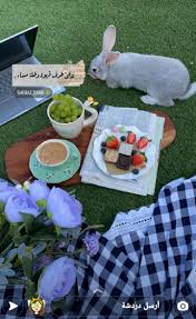 Pin By Syeℓma ۦ On صورة من سناب شات In 2021 Picnic Blanket Outdoor Blanket Picnic