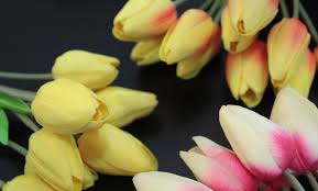 We did not find results for: Tulip Flowers Qatar