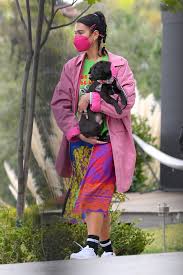Have a look at the pictures and clips shared with details. Dua Lipa And Anwar Hadid Spotted House Hunting As They View A Luxurious 3 Million House In Los Angeles 280121 7