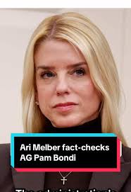 Natasha Weinstein Ari Melber