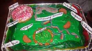 Maybe you would like to learn more about one of these? 21 Plant Cell Cake Project Ideas Plant Cell Cake Plant Cell Cells Project