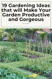 19 Gardening Hacks You Probably Didn T Know About Vegetable Garden Layout Design Small Vegetable Gardens Garden Ideas Large