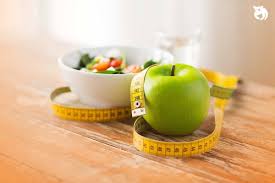 Sekiranya tidak mahu rebus pun tak apa, boleh sahaja. 25 Cara Diet Yang Sehat Cepat Turunkan Berat Badan Qoala Indonesia