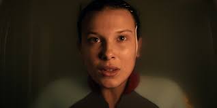 Stranger Things Fans