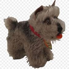 By the 1880s, irish terriers were the fourth most popular breed in ireland and britain. Miniature Schnauzer Standard Schnauzer Lakeland Terrier Irish Terrier Welsh Terrier Png 1053x1053px Miniature Schnauzer Animal Bread