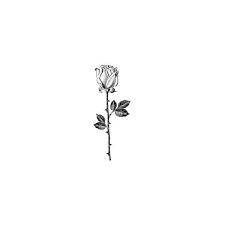 Inkadinkado Products Rose Tattoos Nature Tattoos Tattoos