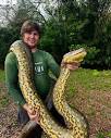Garrett Galvin | I finally caught a huge anaconda! This northern ...