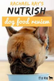 rachael ray nutrish dog food 2019 reviews best worst