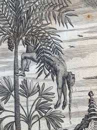 Frontispice! So another look at the book by traveller and diplomat Johan Nieuhof (1618-1672). Just look at this mesmerizing frontispice. There is just so much going on here. So the book is