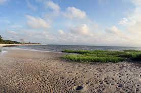 We did not find results for: Hilton Head Island Mitchelville Beach