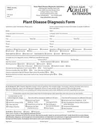 Fillable Online Plantclinic Tamu Texas Plant Disease Diagnostic Laboratory Fax Email Print Pdffiller