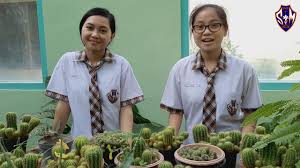 We did not find results for: Video Profil Perpustakaan Sma Santa Maria Yogyakarta Youtube