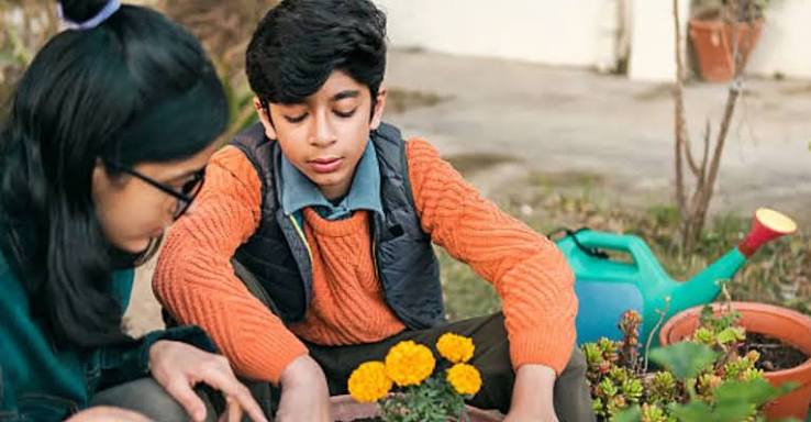 How to Control Garden Pests Naturally Without Using Harmful Chemicals